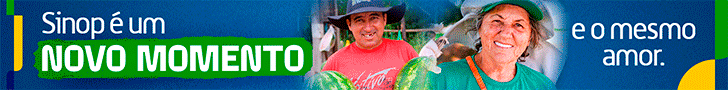 https://www.sinop.mt.gov.br/