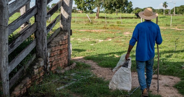 Governo de MT reforça apoio à agricultura familiar com mais de R$ 700 milhões de investimentos