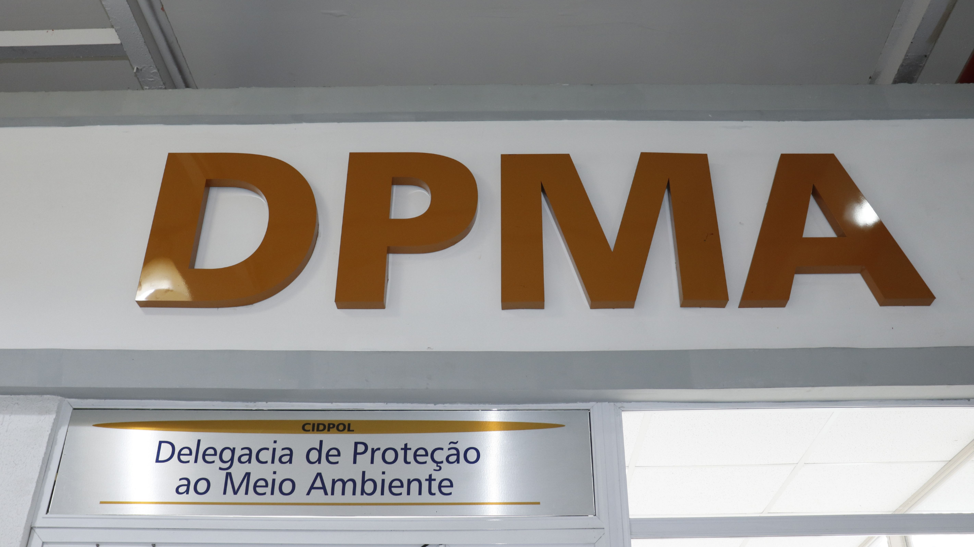 Maior traficante de animais silvestres do RJ é preso